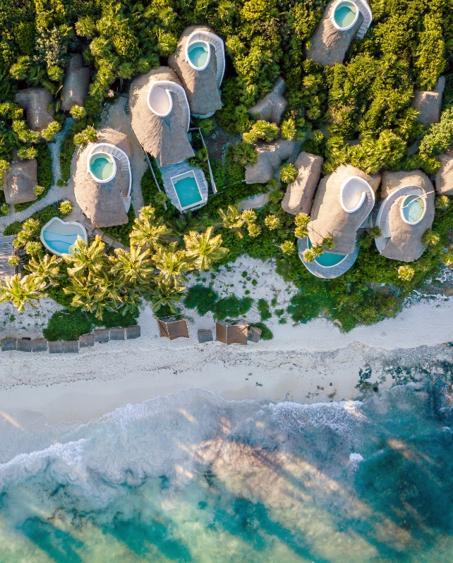 Papaya Playa Project Usp 02