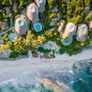 Papaya Playa Project Usp 02