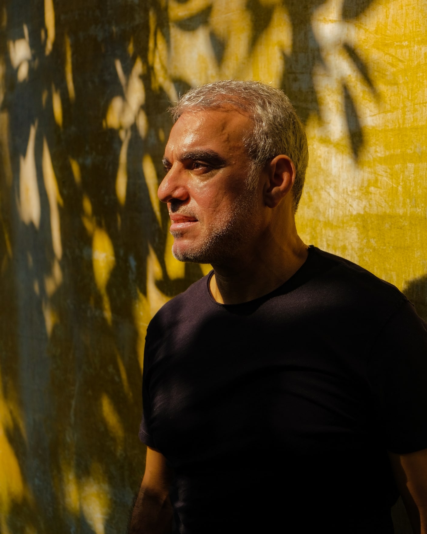 MBO La Maison Palmier Teaser