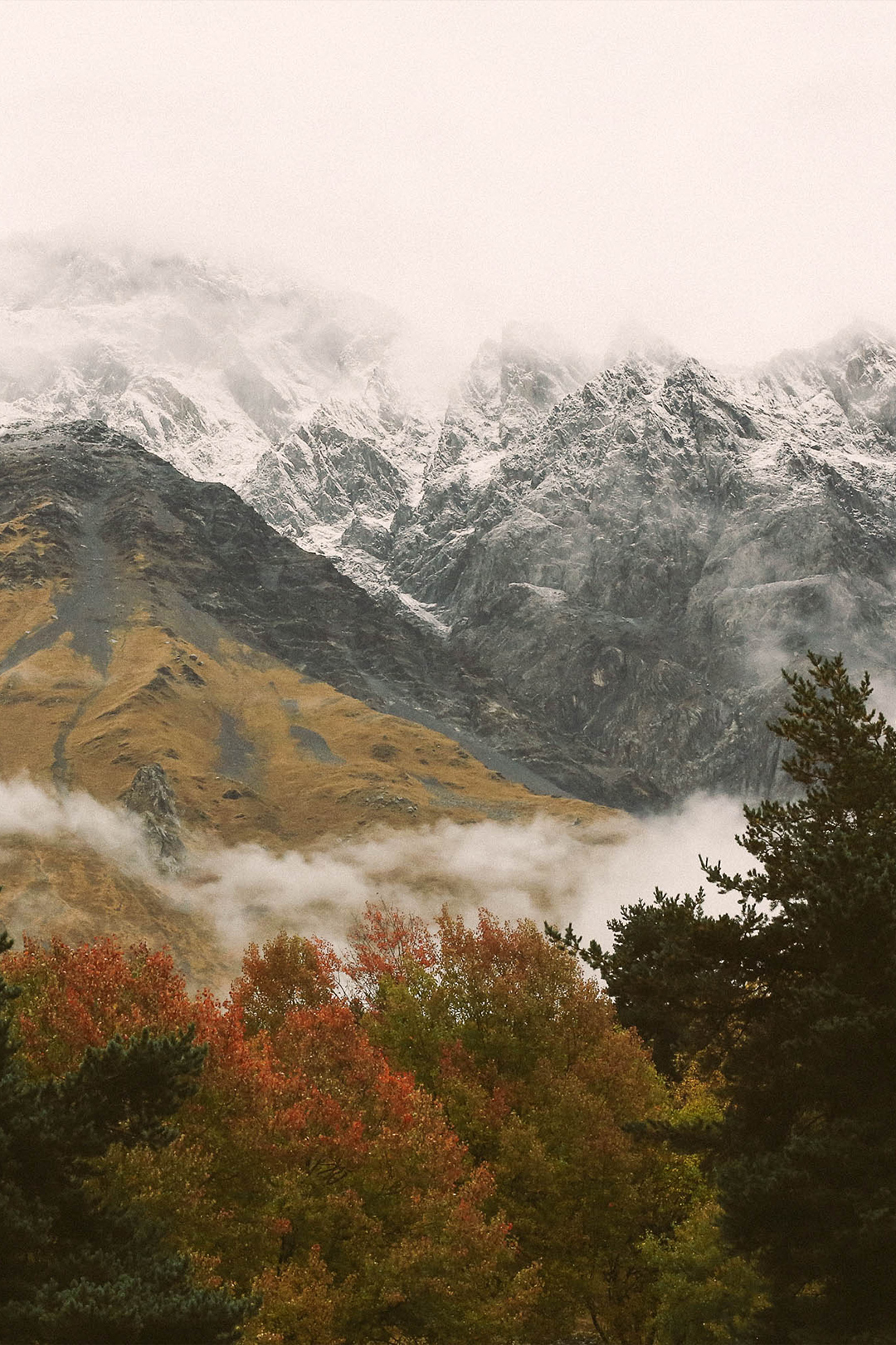 5Dfb6445b07418182a4acb25 04 Further Kazbegi Magic Mountain Left
