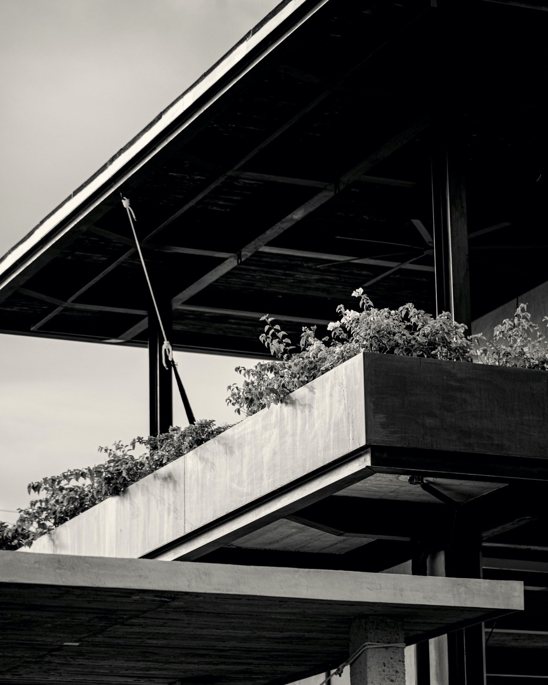 002 Where To Go 2022 Musa