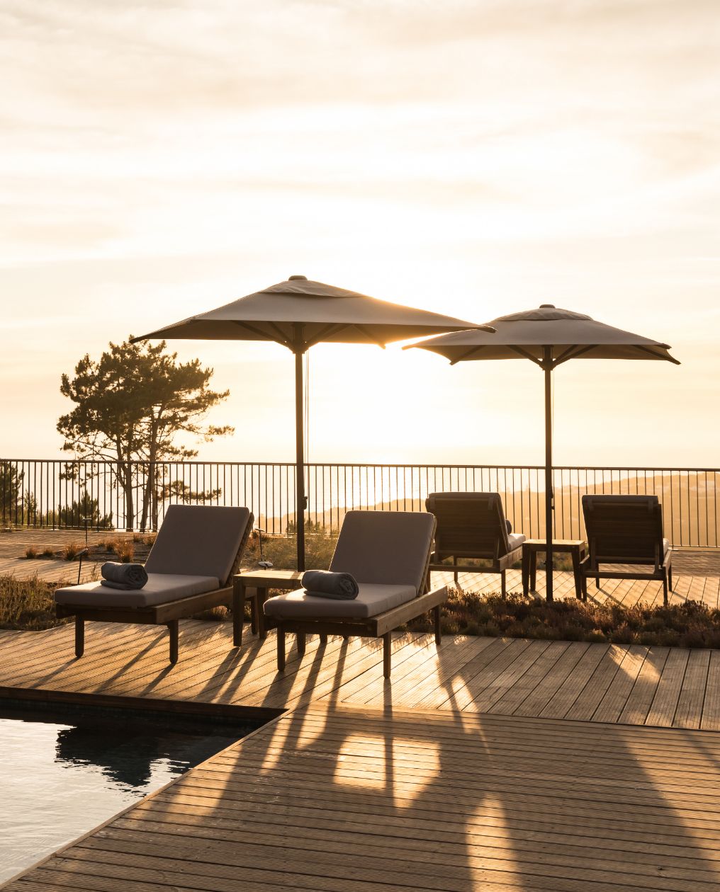 Immerso Theme Box 01 Offbeat