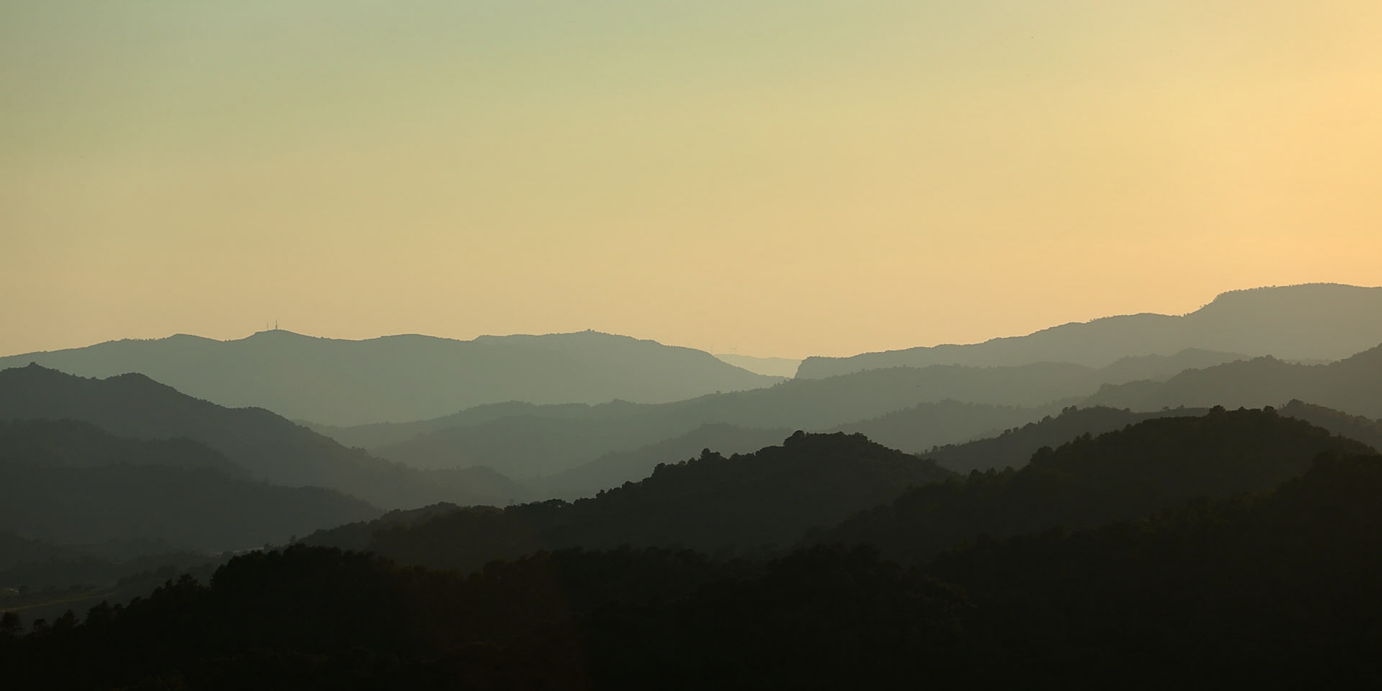 Journal Article Monastic KV