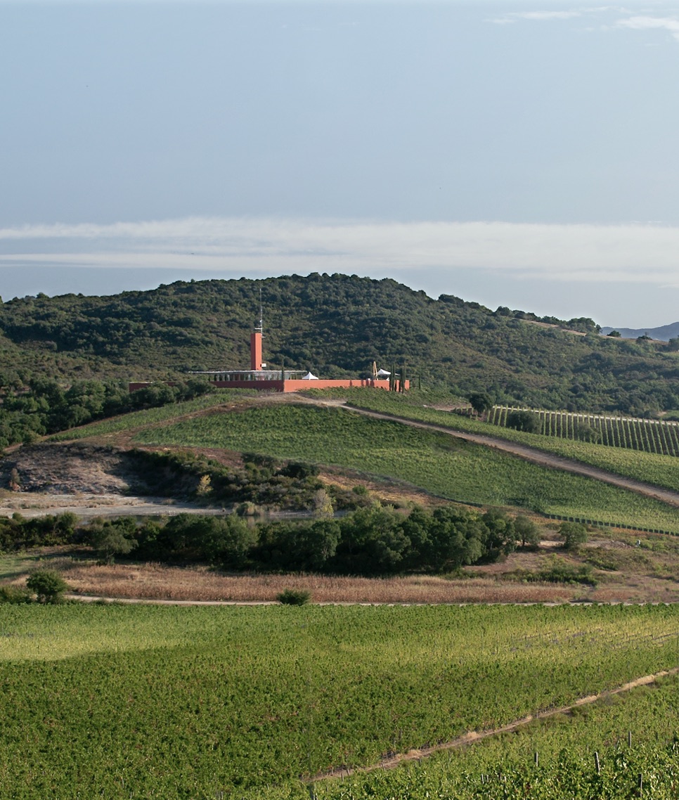 BP Wineries Architects 04