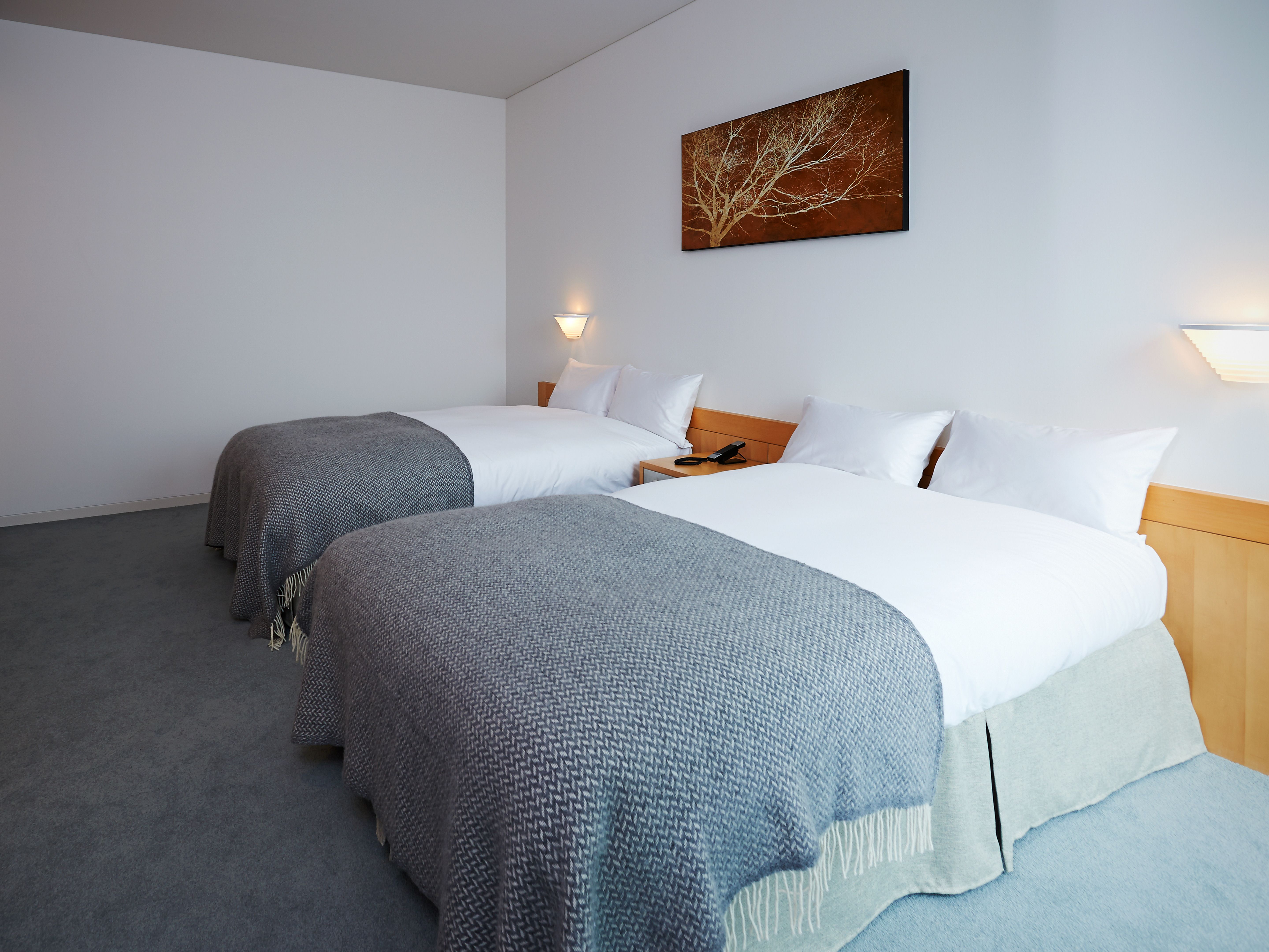 Setouchi Retreat Aonagi Rooms in Shikoku Island 