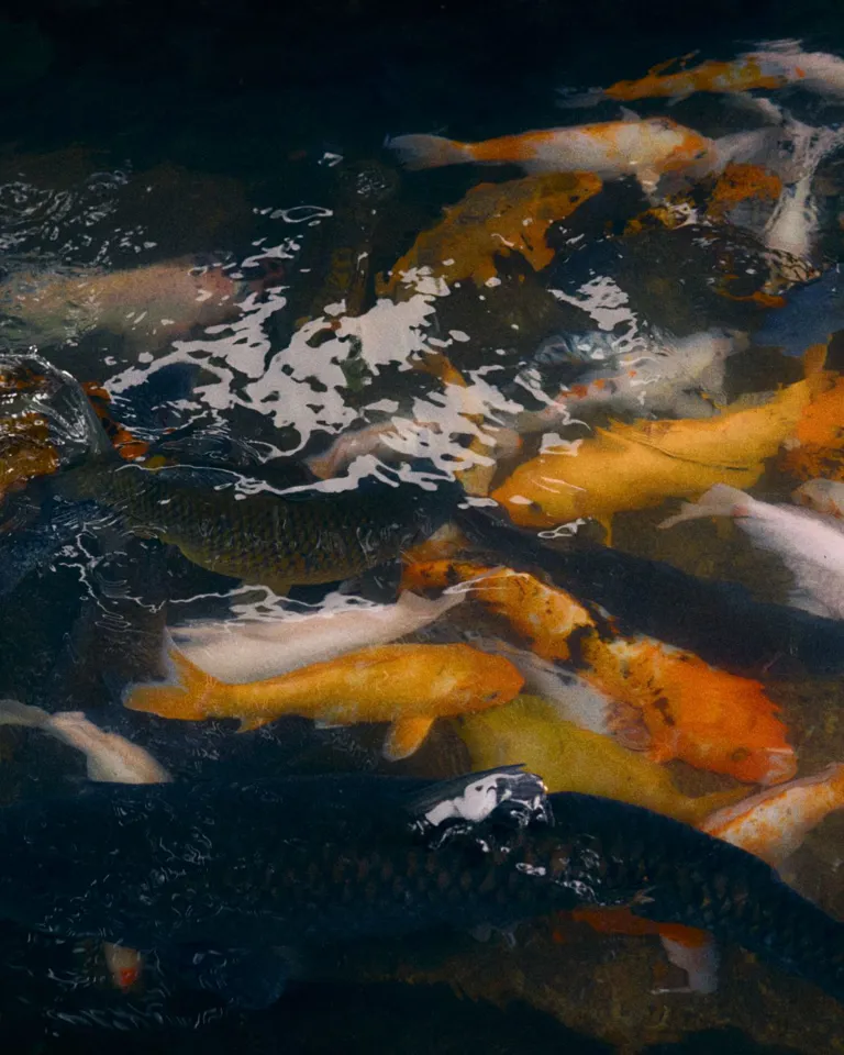 Destination Lombok Image 18