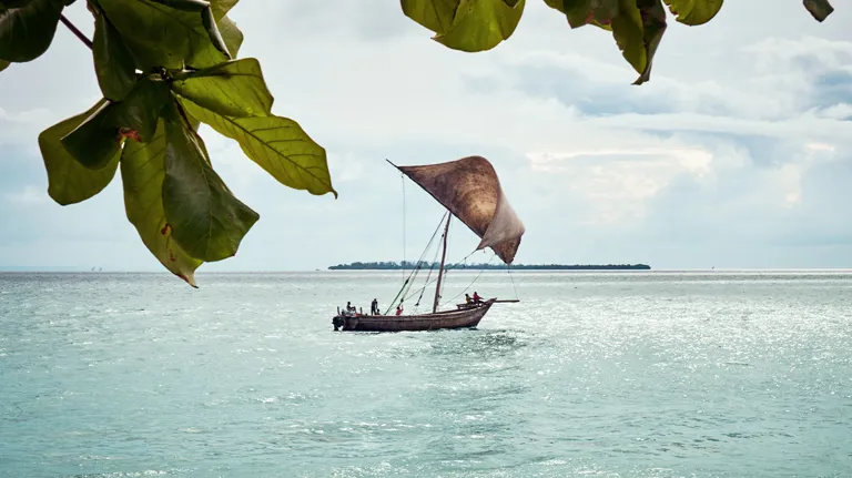 06 Where To Go 2020 Bp Chumble