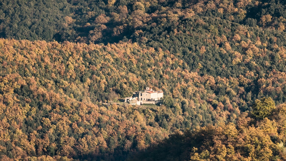 07 Culture Blogpost Fall Foliage