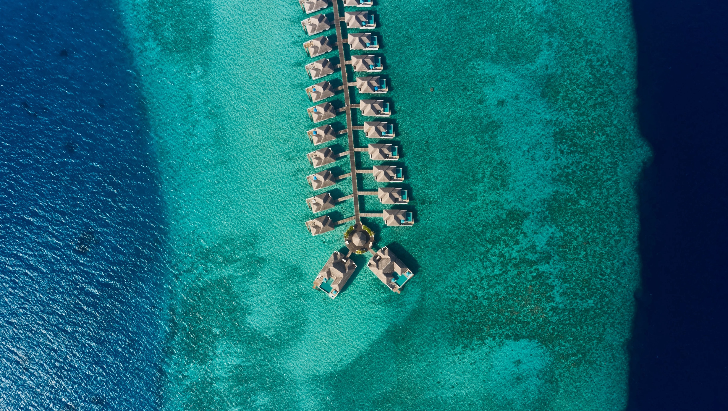 03B TGT Supporting The Reefs