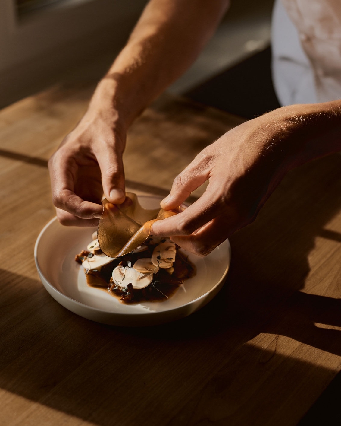 08 The Cambrian Mushroom Foraging