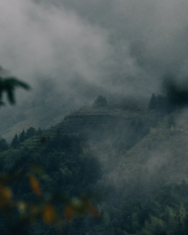 007 Foggy Destinations BP