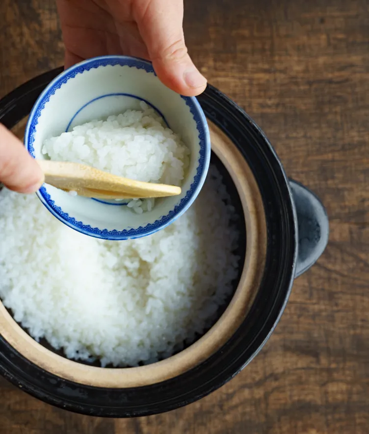 007 Satoyama Jujo Rice Bowl