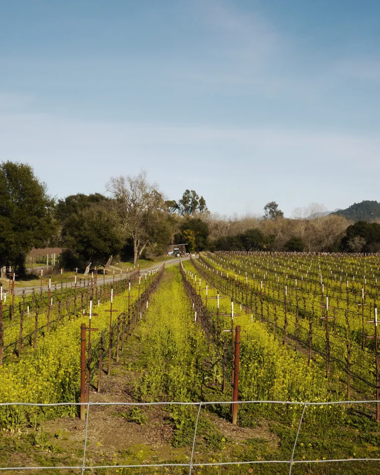 016 Biodynamics Vineyards Warnecke