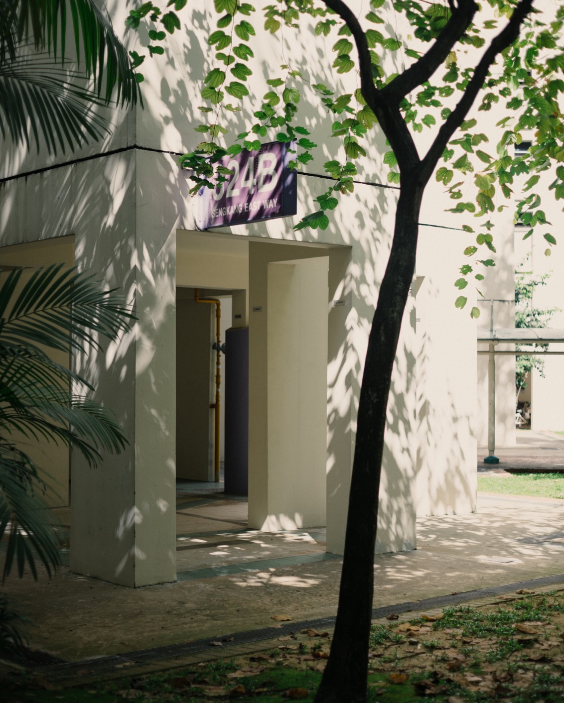 DH Originals Richard Hassell 09 C