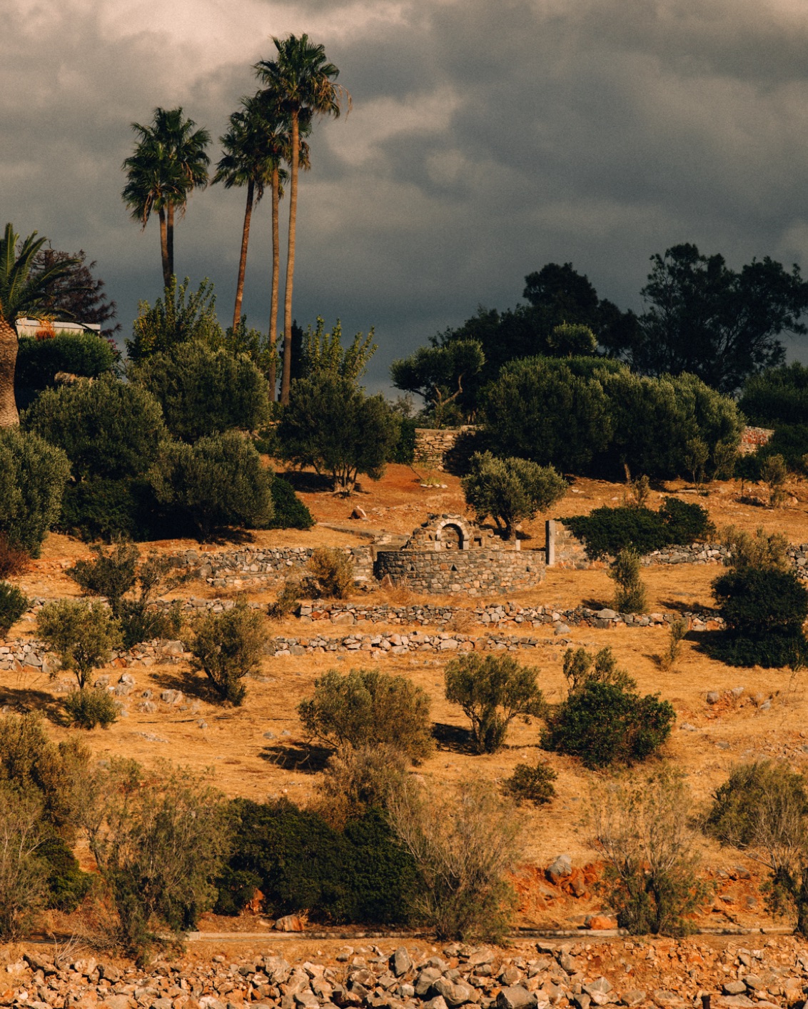 003 MBO Minos Art Beach