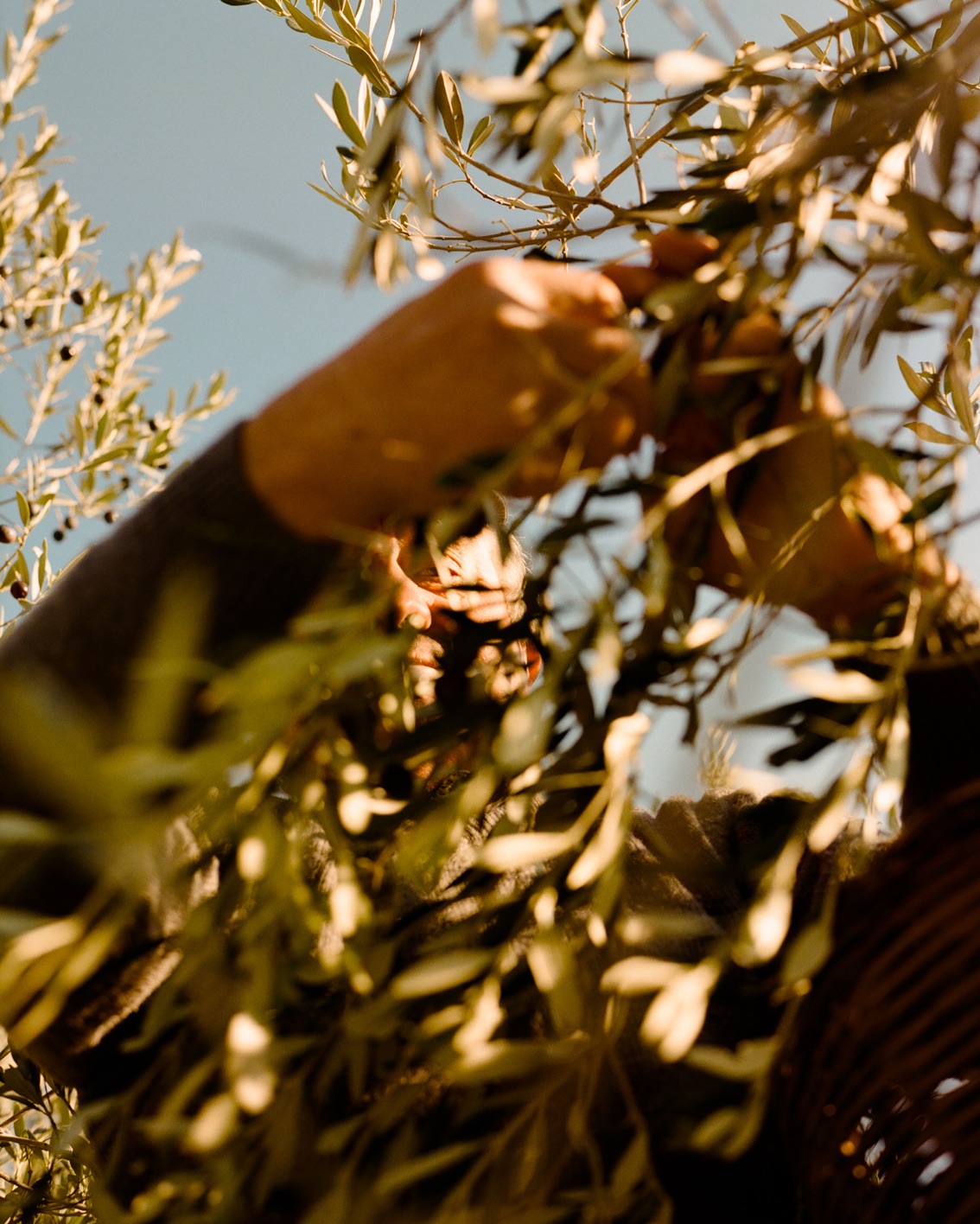 004.1 DH Book2022 Intro BP Layout