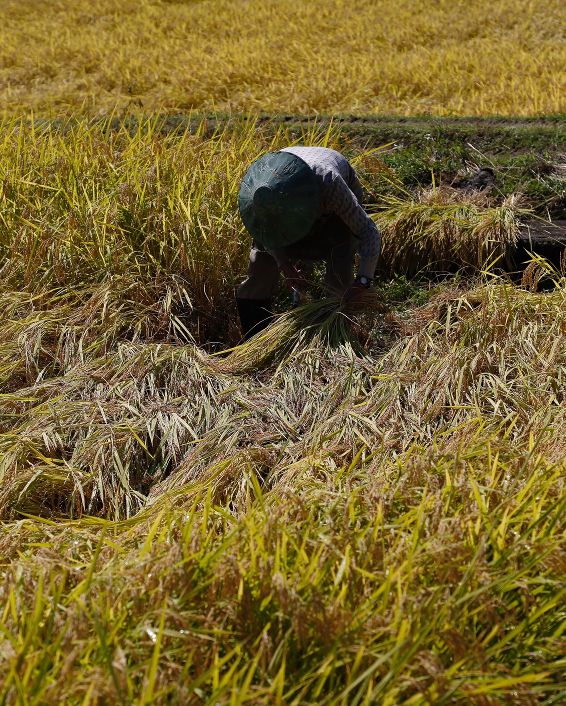 Journal Stays To Savor 22 B