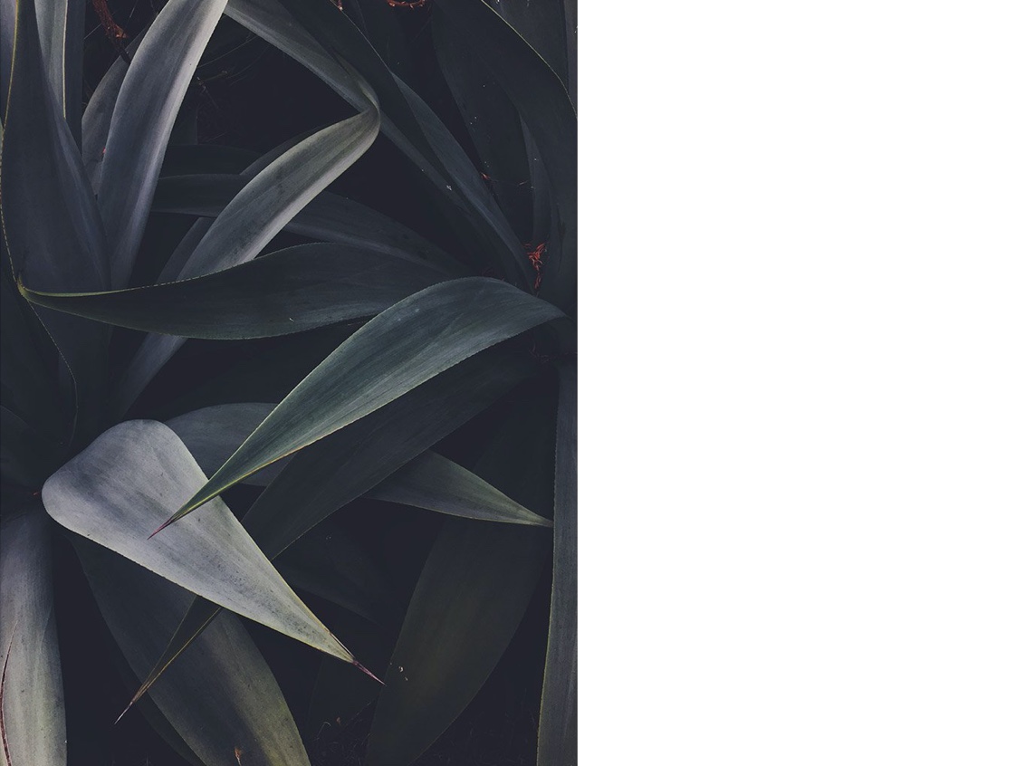 Design Diaries Anne T Rogers 002