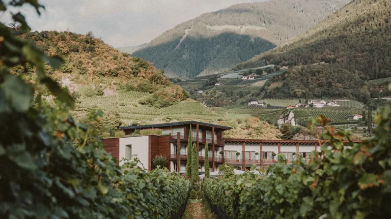 07 BP Well Being Destinations Hotel Schwarzschmied Exterior Mountains Wine Fields