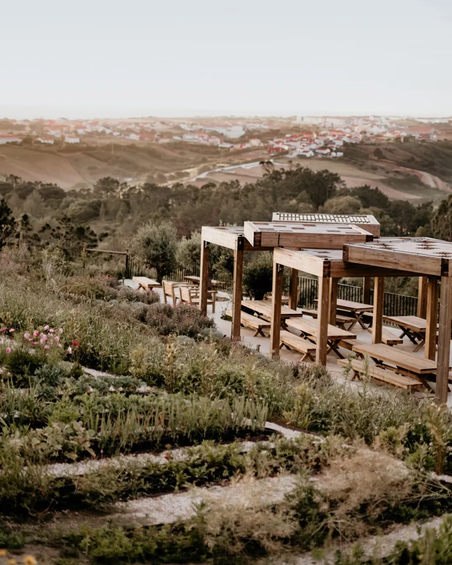 Conscious Eye Immerso 01