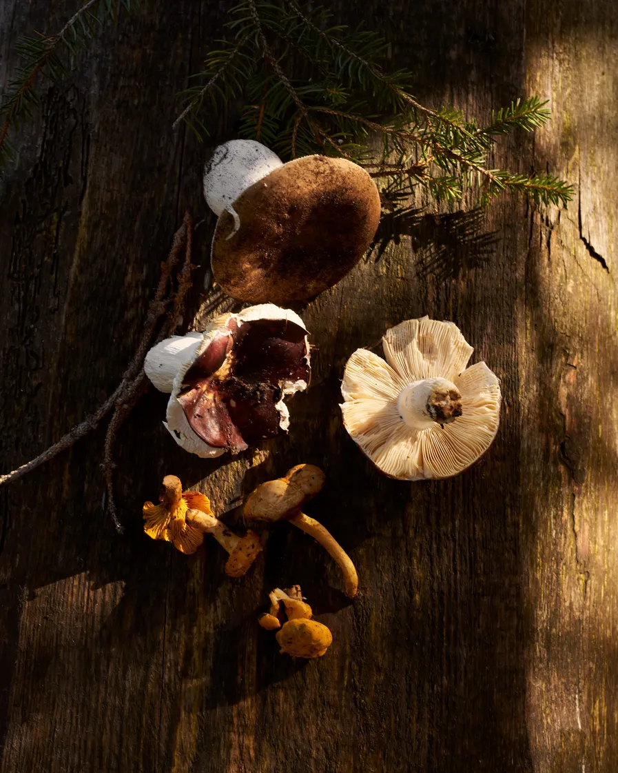 Microsoftteams Image (115)