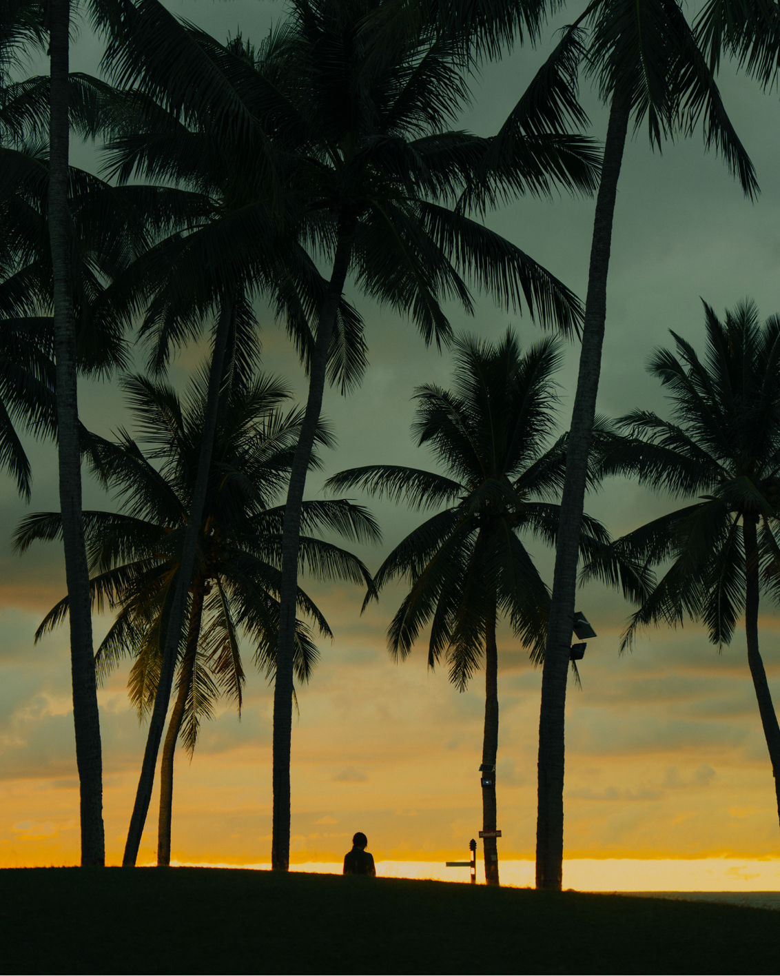 24 MBO Luma Highress