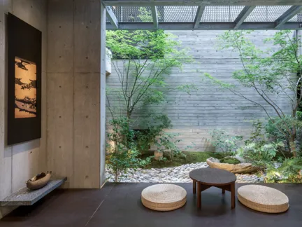 12 Biophilic Design