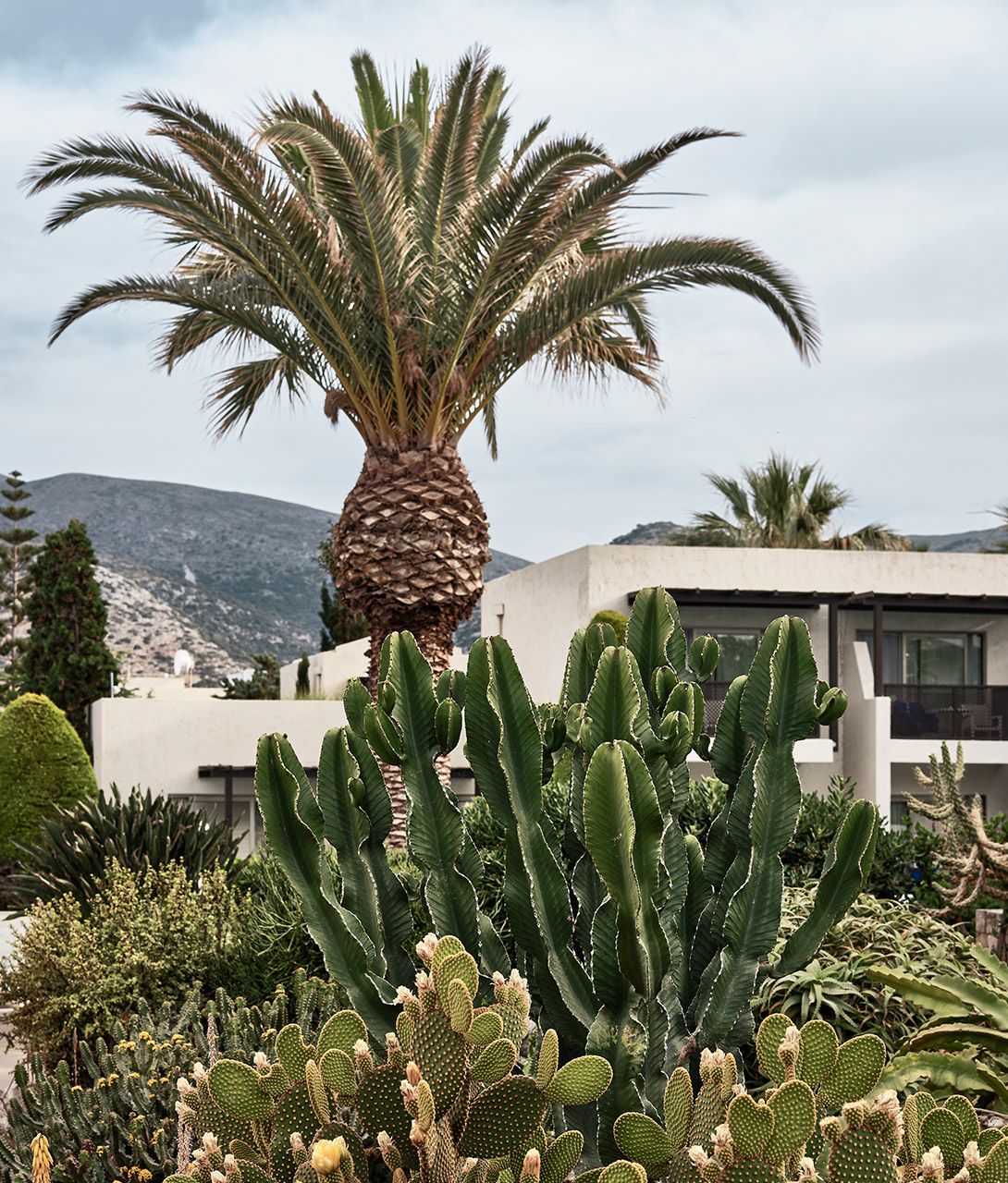 Cretan Malia Park Design in Malia