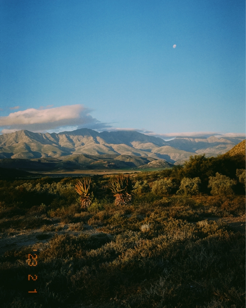 TGT Christian Naehtler 02