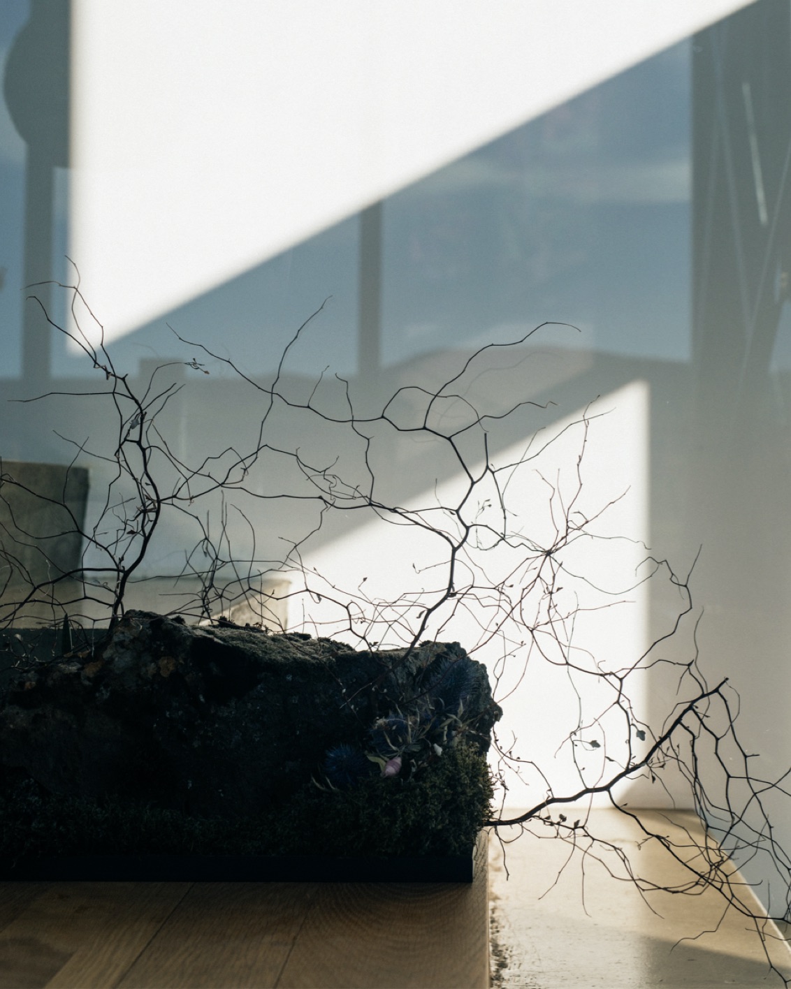 Microsoftteams Image (13)