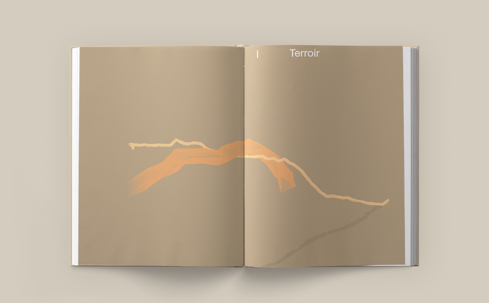 006.7 DH Book2022 Intro BP Layout