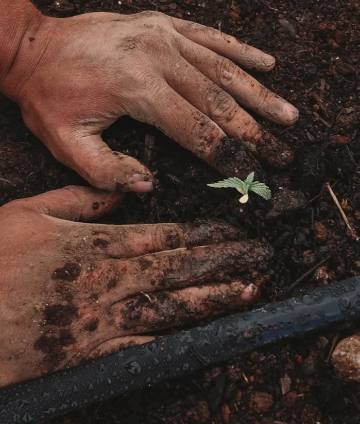 BP Cervo Panel Food Sustainability 03