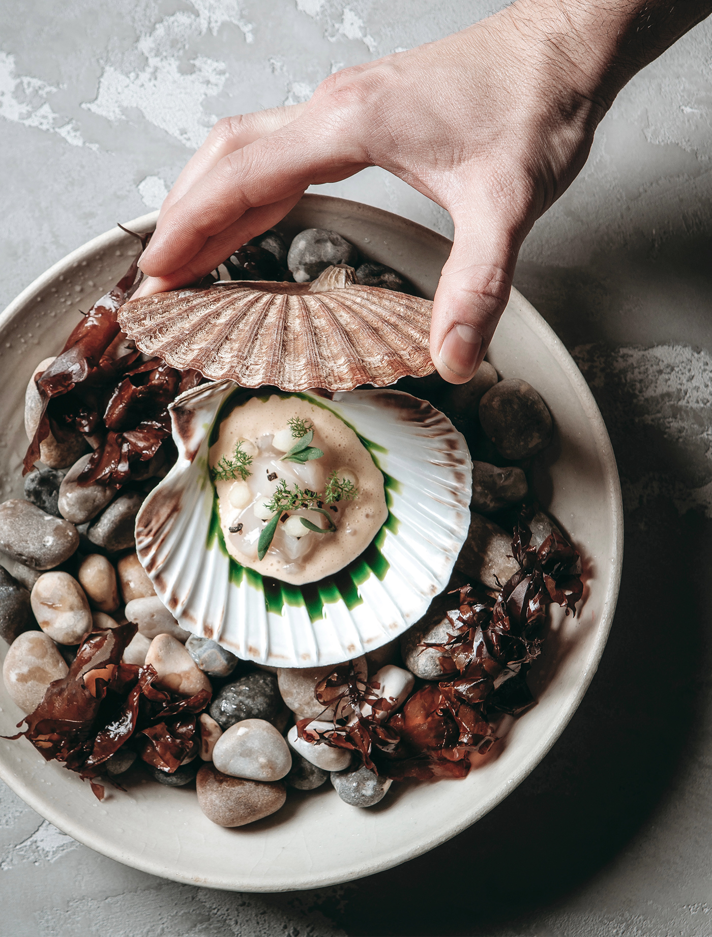 03 DH QA Town Hall Da Terra Chefs