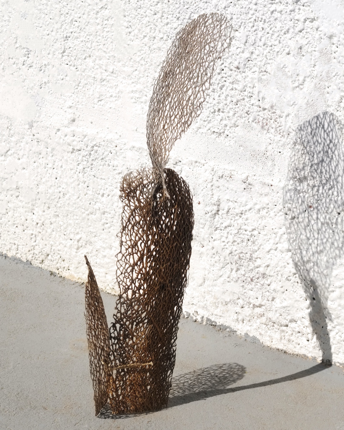 BP My Private Oddyssey 01