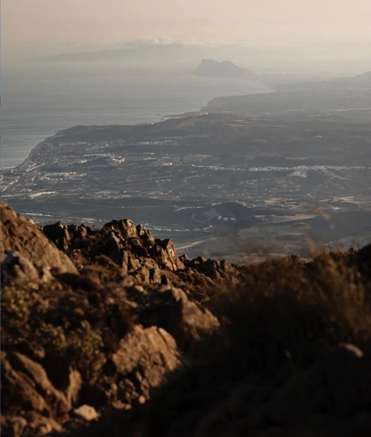 Journal Article Autumn 2023 11