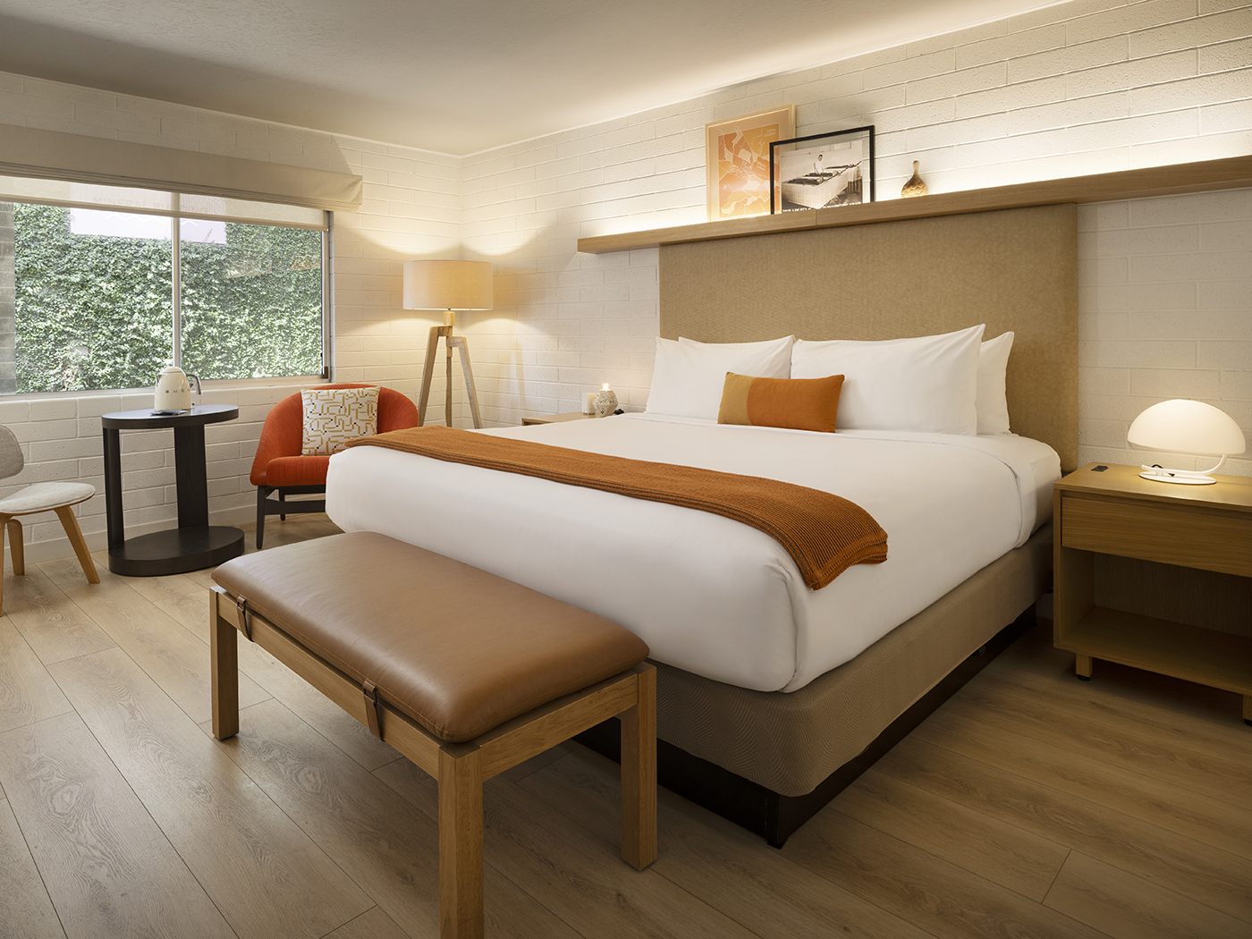 Dr Wilkinsons Deluxe Courtyard King V3 R 01