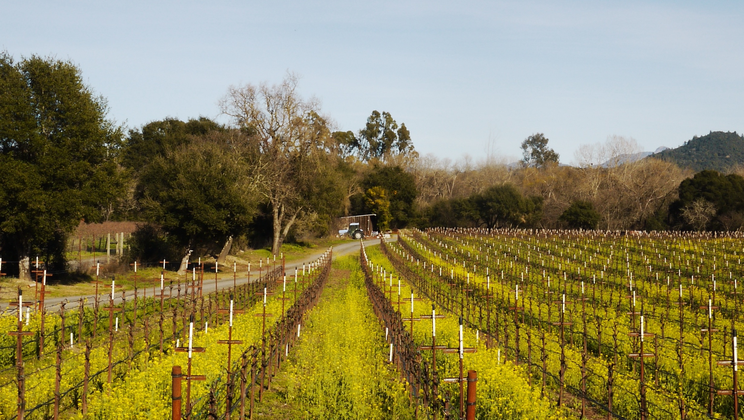 Harmong Guest House Theme Box 01 Food And Drink