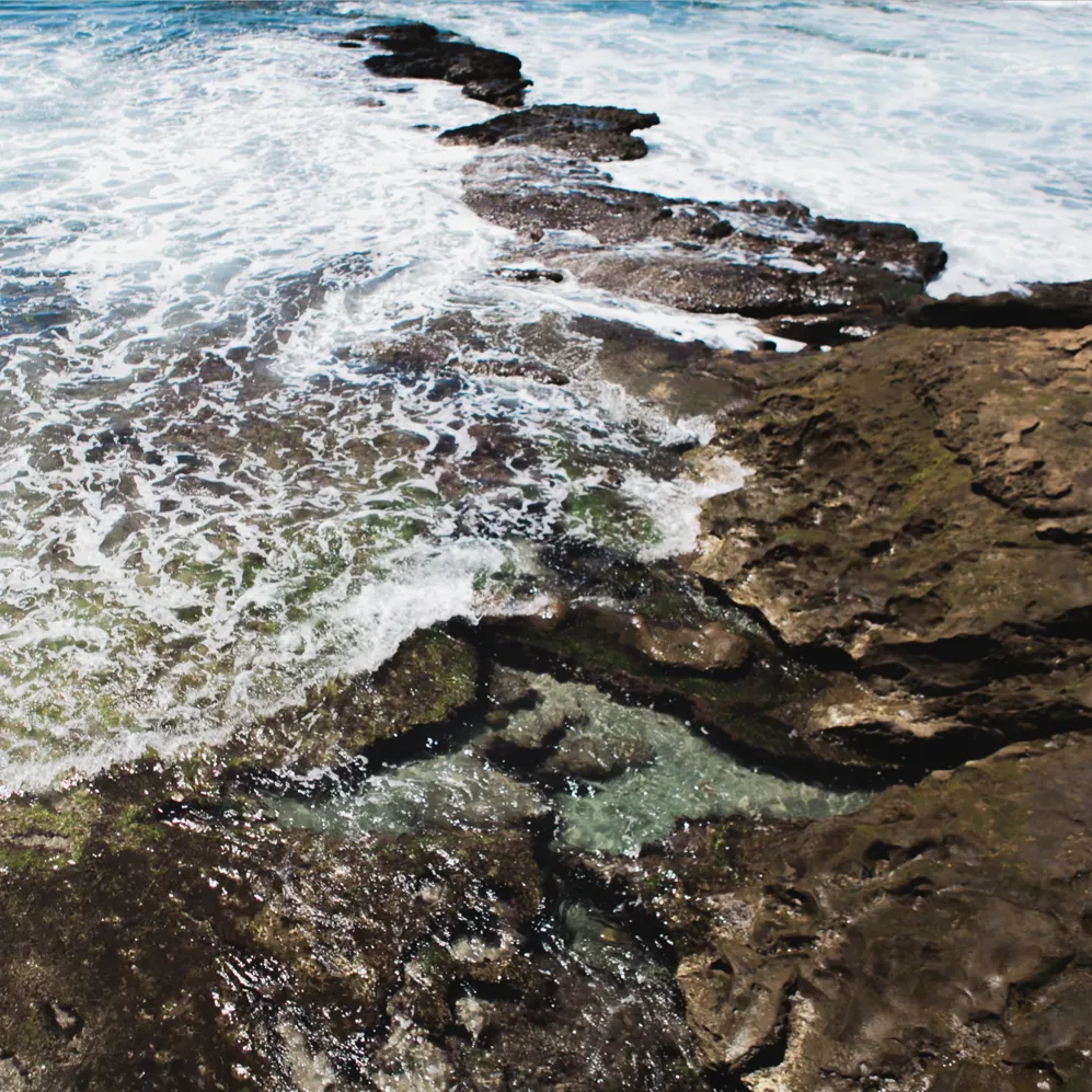 Mindul California Header