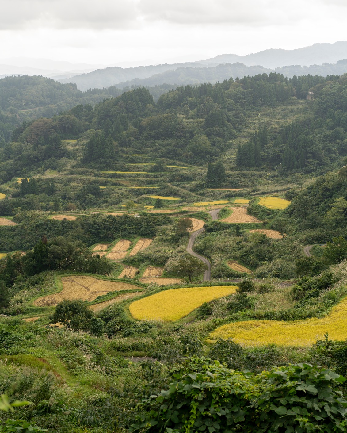 Journal Stays To Savor 22 A