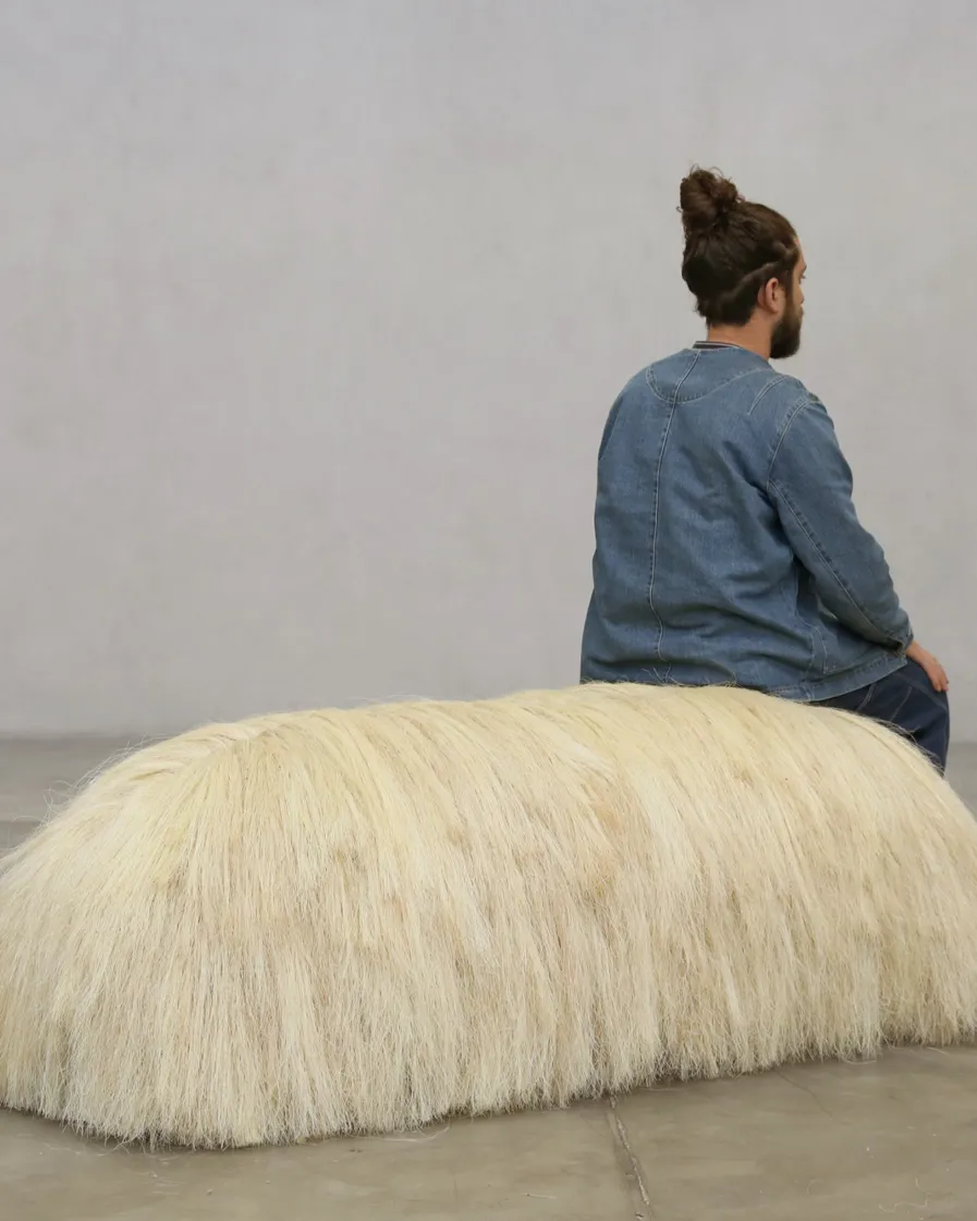 Design Diaries Fernando Laposse Keyvisual