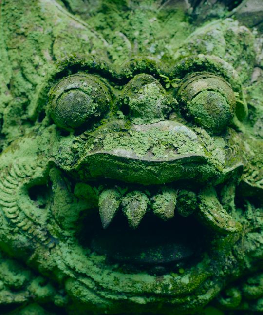 Destination Lombok Image 05