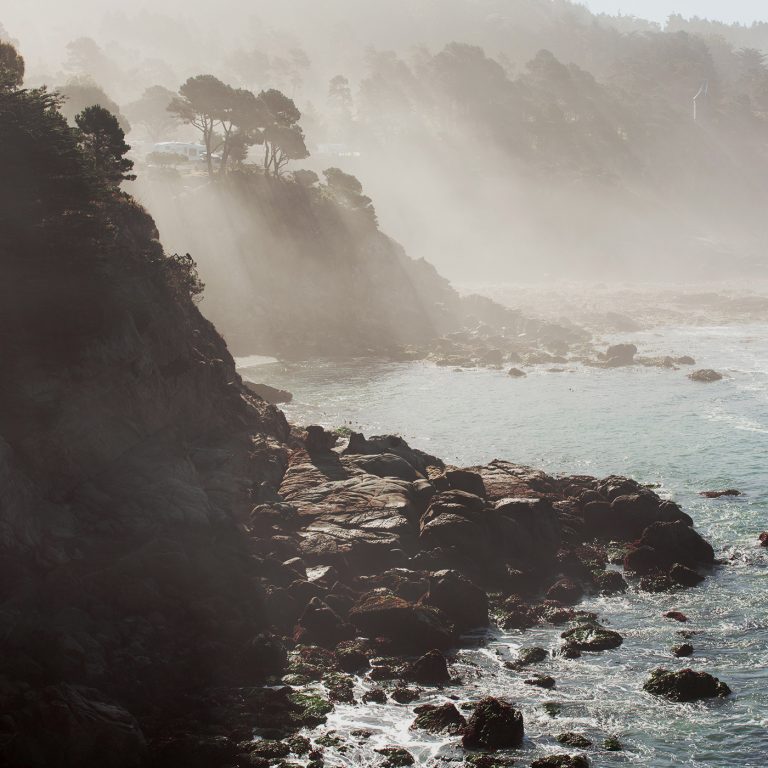 Image Square Timbercove 768X768