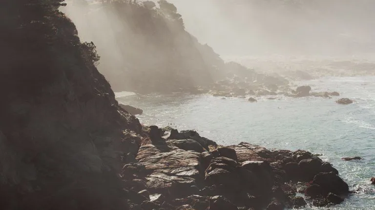 Image Square Timbercove 768X768