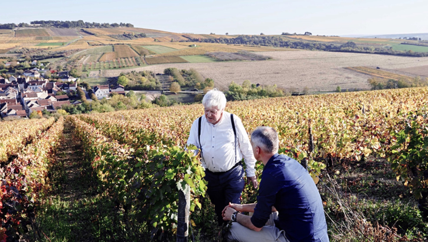 011 Chateau De La Resle Vineyard