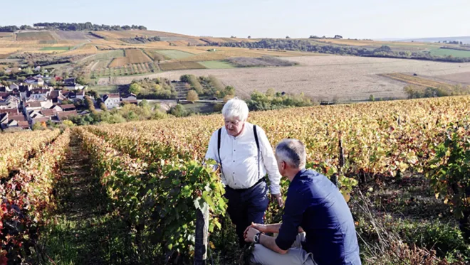 011 Chateau De La Resle Vineyard