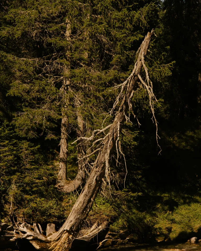 06 Zug Feeling Christian Seiler