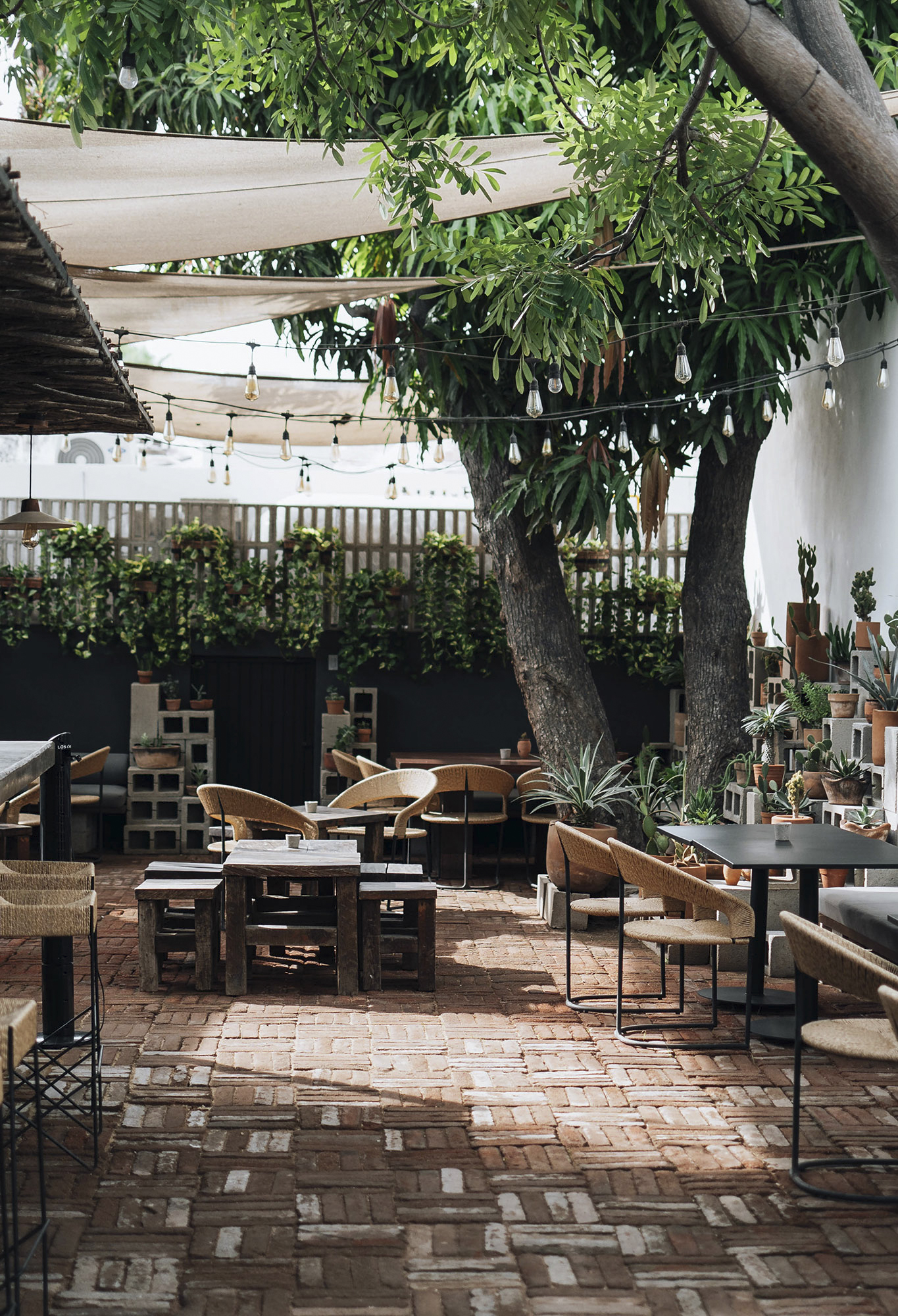 G 04 Drift San Jose Cabo