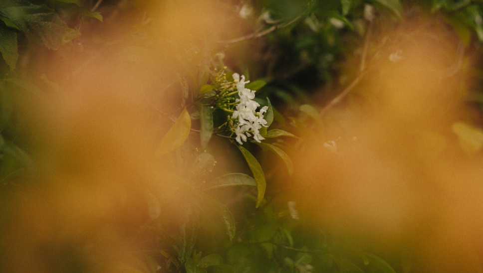 05 Interview With Neil Markey