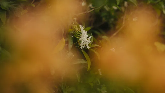 05 Interview With Neil Markey