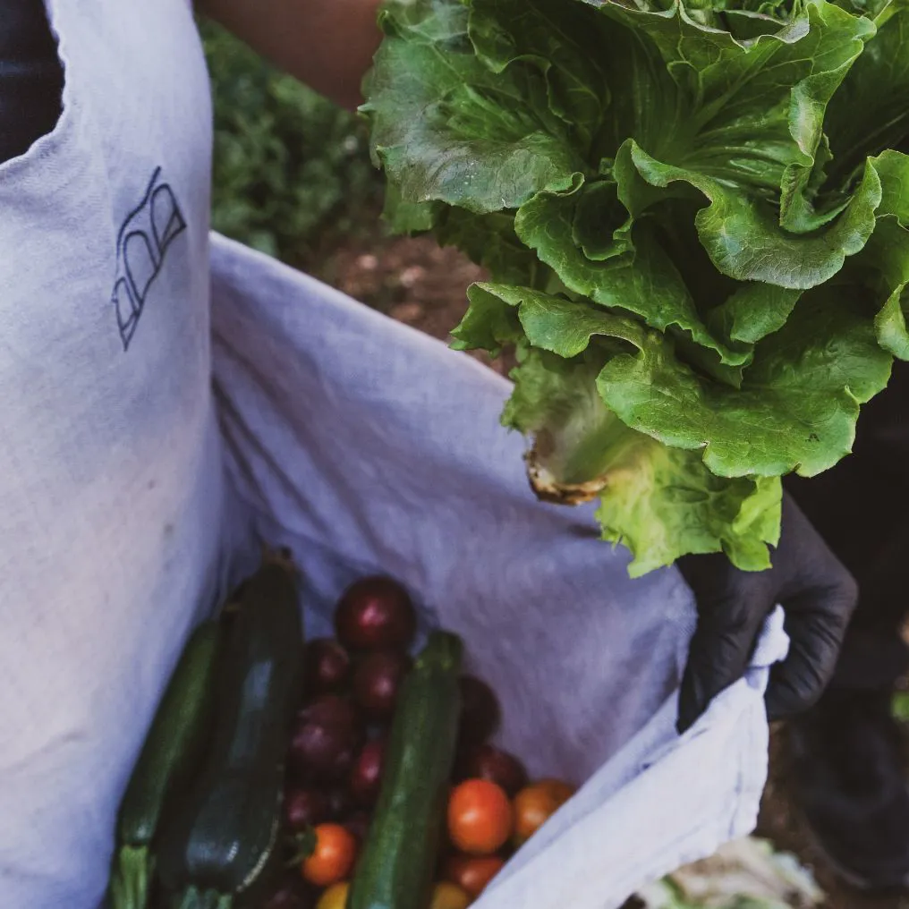 Palazzo Daniele Theme Box 01 Food And Drink 2